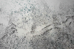 20210504_092714-copie-2