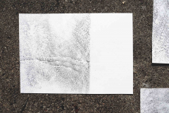 20210504_093336-copie-2